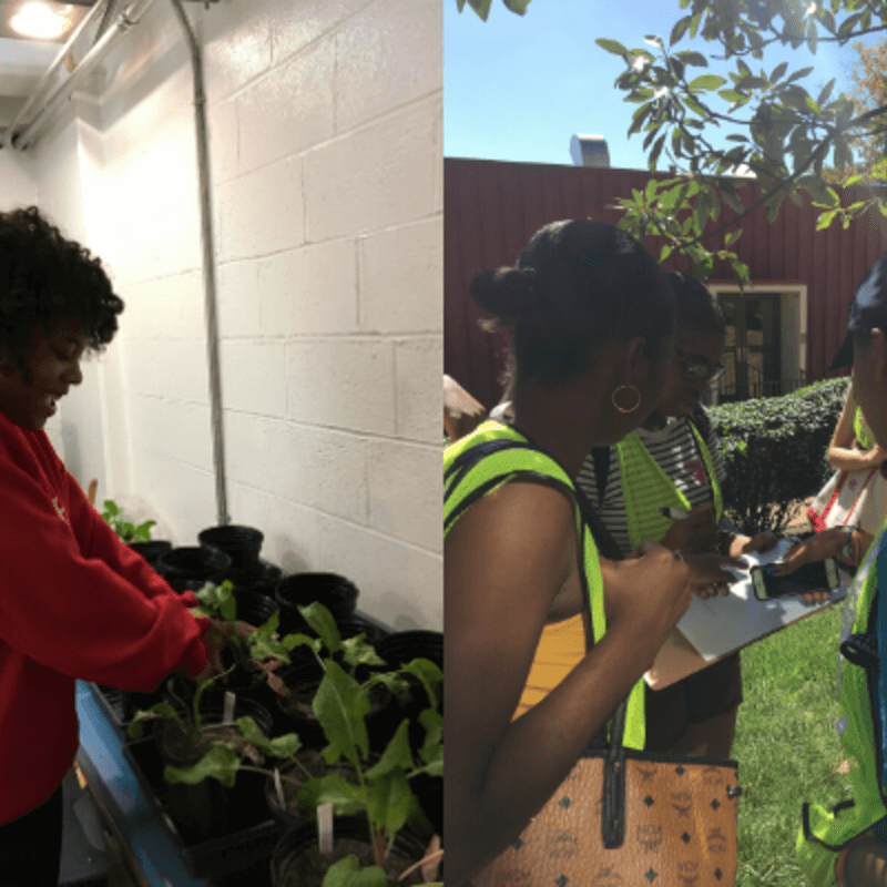 ES Students Working with Plants